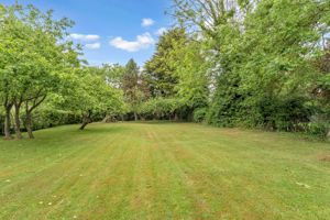 Photo 15- click for photo gallery